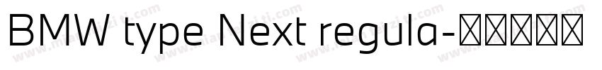 BMW type Next regula字体转换